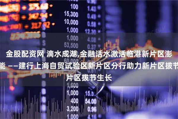 金股配资网 滴水成湖,金融活水激活临港新片区澎湃动能 ——建行上海自贸试验区新片区分行助力新片区拔节生长