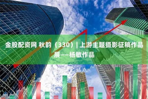 金股配资网 秋韵（330）| 上游主题摄影征稿作品展——杨敏作品